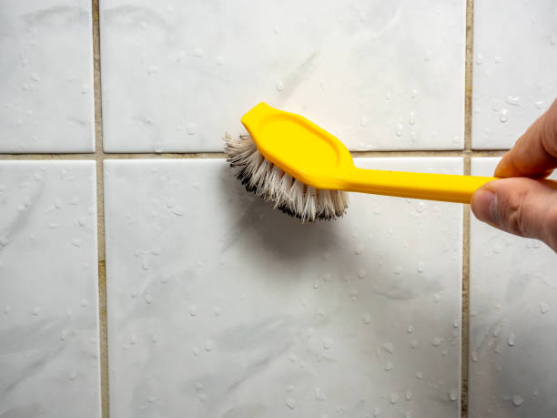 Best Mold Cleaning Services  in Springville, IA