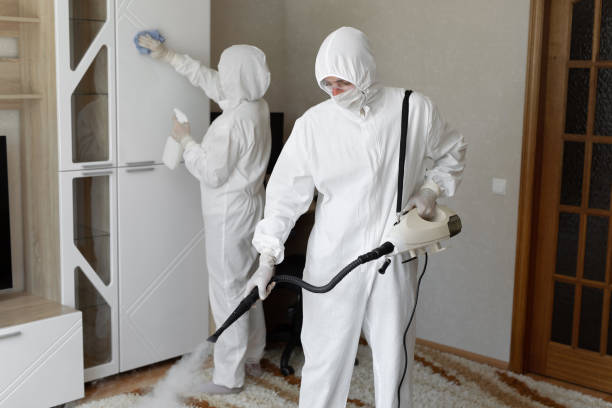 Certified Mold Removal in Springville, IA