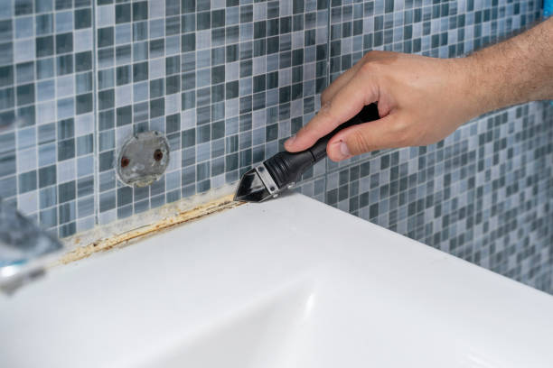 Best Office Mold Removal Services  in Springville, IA